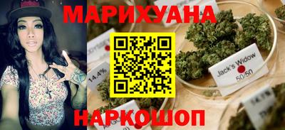 гидра Краснознаменск