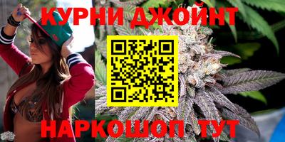 гидра Краснознаменск