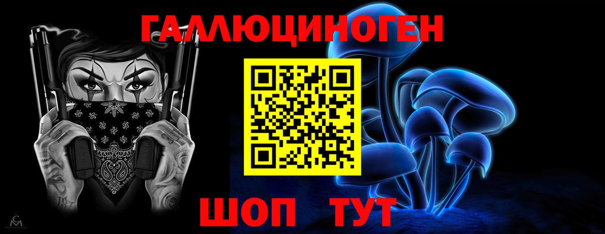 Псилоцибиновые грибы мухоморы  где купить наркоту  Ярославль  Вход с VPN 